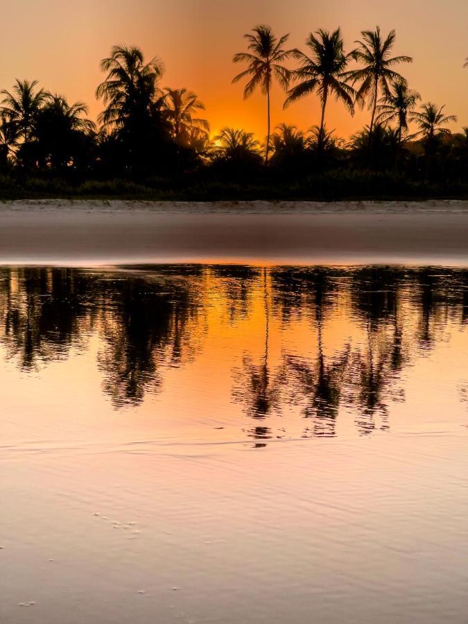 Aldeia Da Mata Ecolodge แซร์ฮา กรันเด ภายนอก รูปภาพ